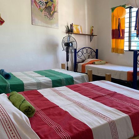 Casa El Mundo Hostel Oaxaca Bagian luar foto