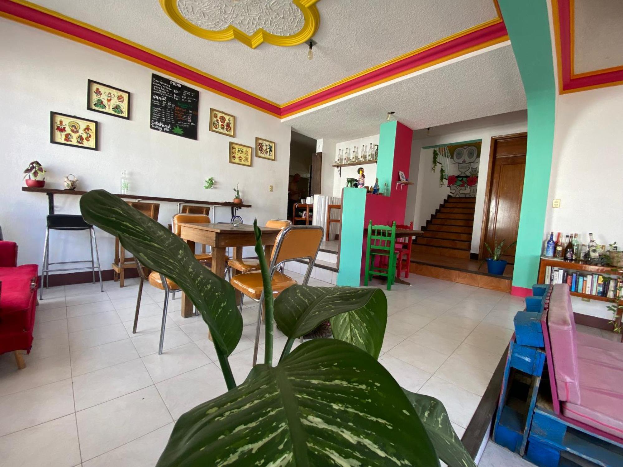Casa El Mundo Hostel Oaxaca Bagian luar foto