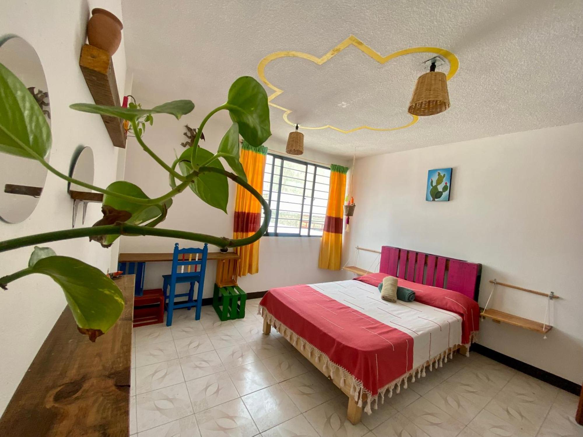 Casa El Mundo Hostel Oaxaca Bagian luar foto